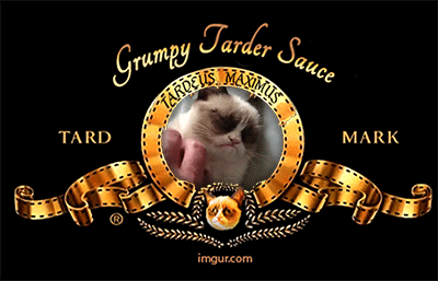 гифки-Grumpy-Cat-котэ-490934