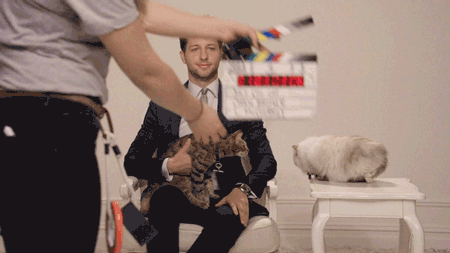 juicy-couture-cat-gif-1