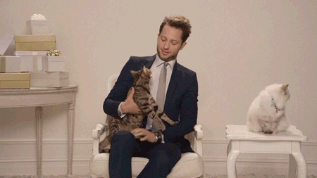 juicy-couture-cat-gif-5