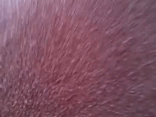 удивленный котэ