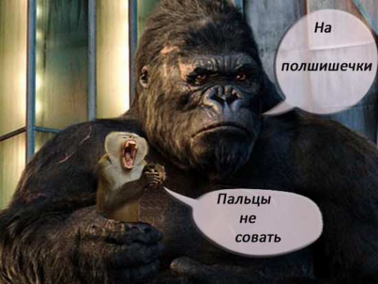 i_4651001_1 копия