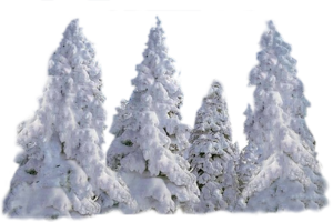 0_7539b_b8ec1a4_M