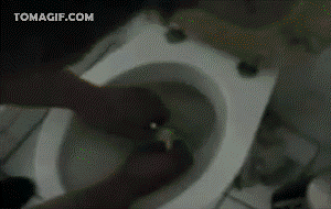 гифки-петарда-унитаз-208047
