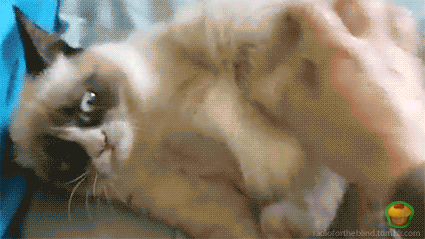 1356060913_496431446