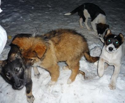 уменьшенная 2