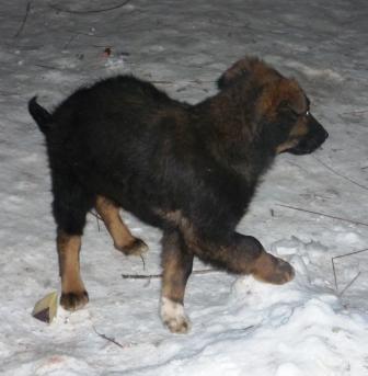 уменьшенная 4