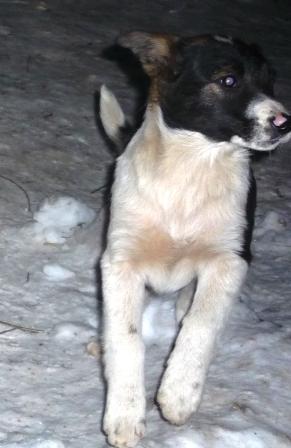 уменьшенная 6