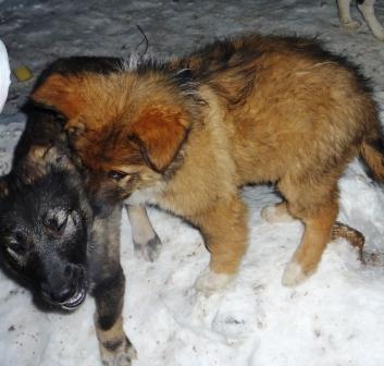 уменьшенная 8