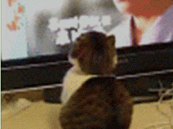 1355438139_by_1973_ck_inner