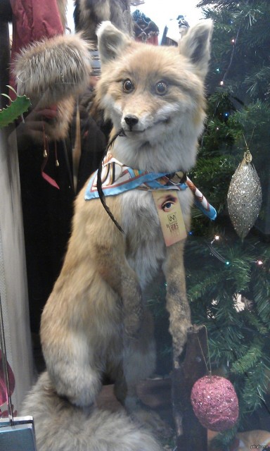 1356290404_1202491294