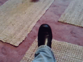 кот ты с какого района