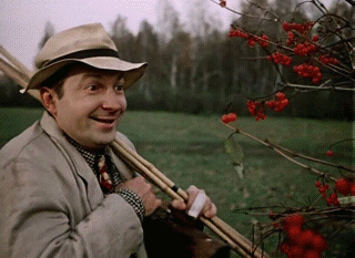 гифки-Пес-Барбос-и-необычайный-кросс-415908