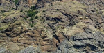 show-image