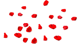 lepestki_krasnye_yapfiles.ru