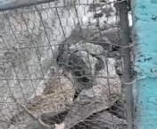 1357520379_190239477