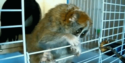 1357715189_901931181