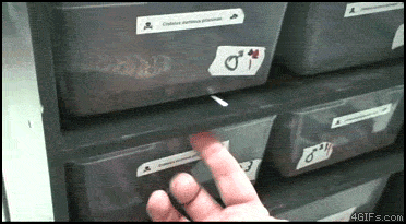 гифки-песочница-531328