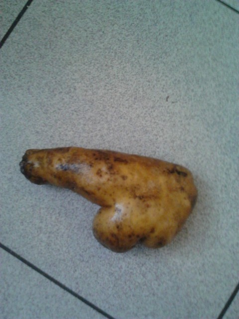 IMG_20130111_135234_0