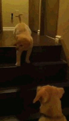 1357988334_594539201