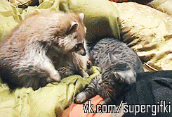 1358252378_388933183