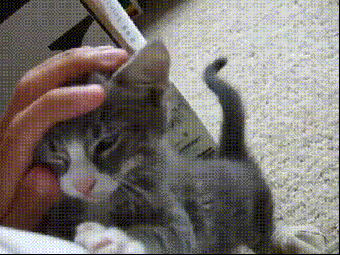 hotel_skazat_chto_ochen_vazhnoe_yapfiles