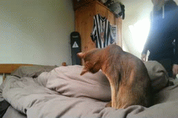 1358350390_1550350072