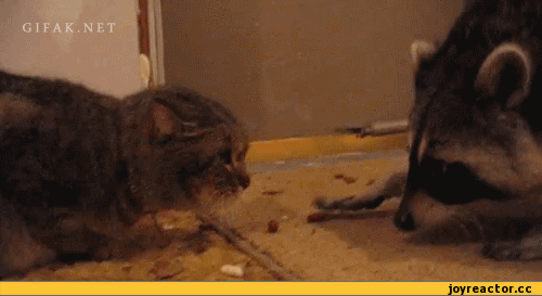 Я возьму? Вы не против?