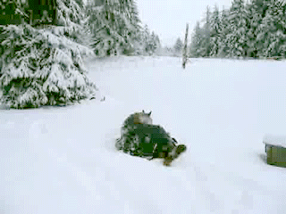 1358421598_480994259