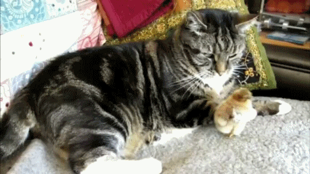 1358626514_1133528331