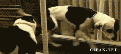 1358865608_882584716