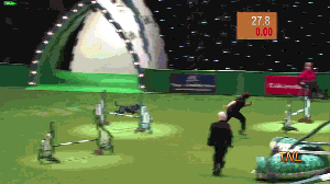 гифки-собака-приспичило-песочница-544826