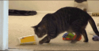 1358915208_2026531853