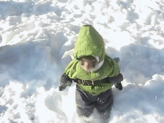 1359091861_135530271