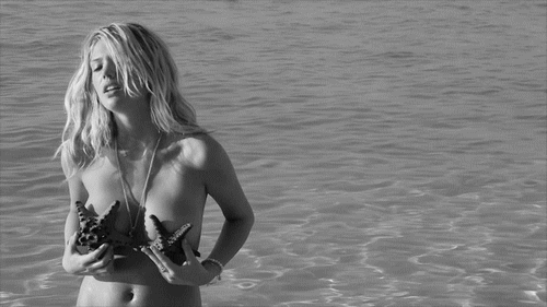 сисьок ракушка