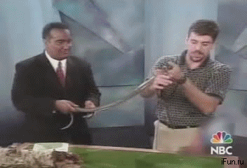 гифки-змея-стальные-яйца-315545