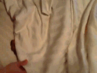 1359625583_1818330520