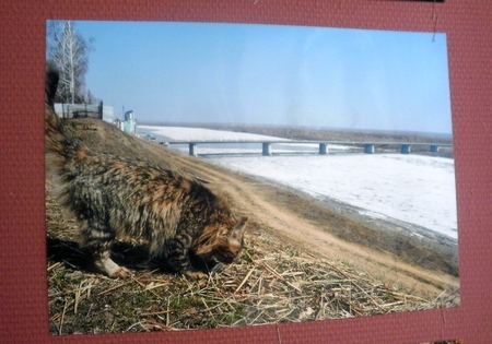 Кошара.Лучшая фотка