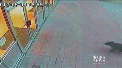 Цобако
