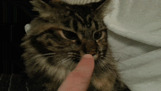 1360560677_302515647_yapfiles.ru