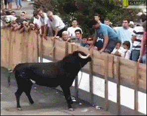 Taunting-bull-fail1