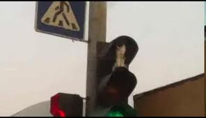 кот в светофоре