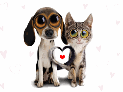 39620158_1234543621_d0cd6d76f362