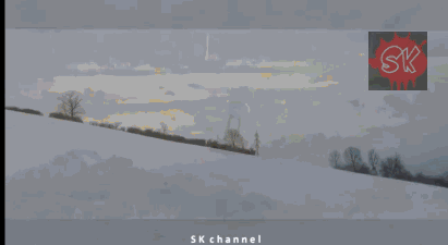 гифки-Пес-лыжи-571331