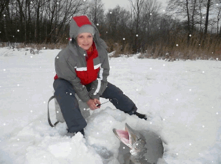 Загадай желание