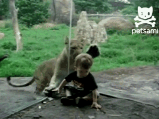 1361354052_1335446386