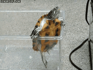 Защита диссертации 2