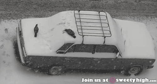 Развлекуха