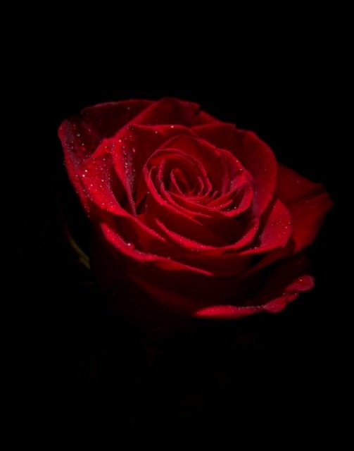 0404