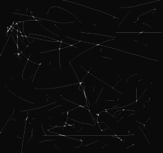 0003