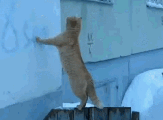 1362025268_1152057125